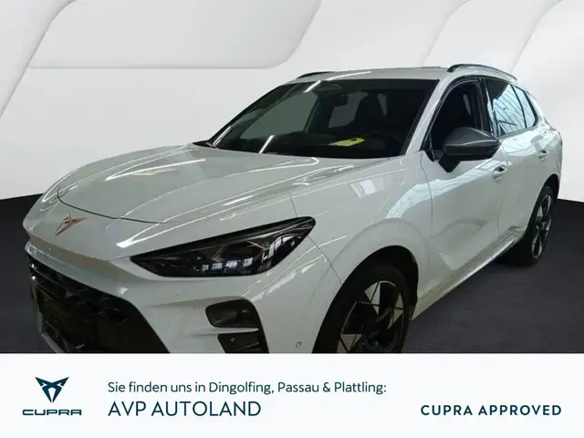 SEAT Autres Terramar 2.0 TSI DSG 4Drive VZ | NAVI | AHK |