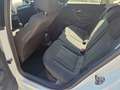 Volkswagen Polo Austria 1,0 - thumbnail 9