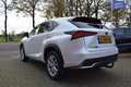 Lexus NX 300h AWD Luxury Line AUTOM/PANO DAK/CRUISE/NAVI/CARPLAY White - thumbnail 35