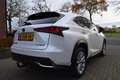 Lexus NX 300h AWD Luxury Line AUTOM/PANO DAK/CRUISE/NAVI/CARPLAY White - thumbnail 36