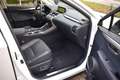 Lexus NX 300h AWD Luxury Line AUTOM/PANO DAK/CRUISE/NAVI/CARPLAY White - thumbnail 8