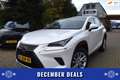 Lexus NX 300h AWD Luxury Line AUTOM/PANO DAK/CRUISE/NAVI/CARPLAY White - thumbnail 1