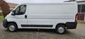 Citroen Jumper Jumper 33 L2H1 Weiß - thumbnail 4