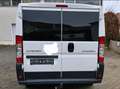 Citroen Jumper Jumper 33 L2H1 Weiß - thumbnail 6