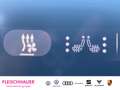 CUPRA Formentor AD Navi VC Memory Sitze 360 Kamera LED ACC El. Hec Grau - thumbnail 16