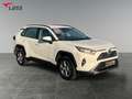 Toyota RAV 4 RAV4 2.5 Business Edition 2xKlima ACC AUT Kam. Weiß - thumbnail 8