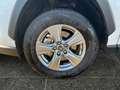 Toyota RAV 4 RAV4 2.5 Business Edition 2xKlima ACC AUT Kam. Blanc - thumbnail 15