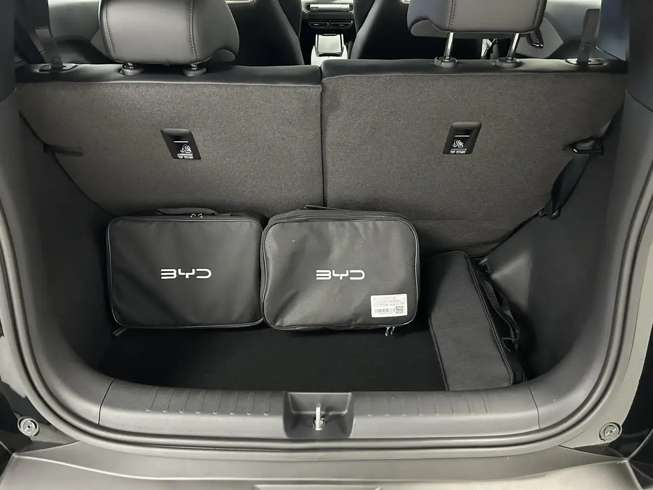 BYD DOLPHIN SURF
