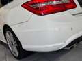 Mercedes-Benz E 250 Coupe E 250 CDI//AMG//PANORAMA//HARMAN/KARDON Weiß - thumbnail 29