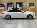 Mercedes-Benz E 250 Coupe E 250 CDI//AMG//PANORAMA//HARMAN/KARDON Weiß - thumbnail 6