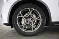 Alfa Romeo Stelvio 2.2 Turbodiesel 210 CV AT8 Q4 Ti Bianco - thumbnail 14