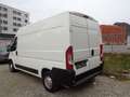 Citroen Jumper Jumper LKW  Y Weiß - thumbnail 3