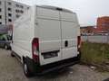 Citroen Jumper Jumper LKW  Y Weiß - thumbnail 4