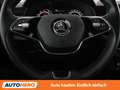 Skoda Kamiq 1.0 TSI Ambition Blau - thumbnail 19