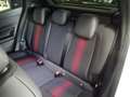 Alfa Romeo Junior 1.2 136 CV Hyb eDCT6 Speciale *PROMO PARISI GROUP* Wit - thumbnail 12