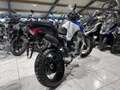 Moto Guzzi Stelvio PFF Rider Assistance Solution 1000  Duecento Tribu Wit - thumbnail 3