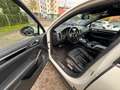 Porsche Cayenne 3.0L S Hybrid Japan Import / Top gepflegt Weiß - thumbnail 4