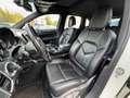 Porsche Cayenne 3.0L S Hybrid Japan Import / Top gepflegt Weiß - thumbnail 6