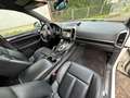 Porsche Cayenne 3.0L S Hybrid Japan Import / Top gepflegt Weiß - thumbnail 18