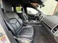 Porsche Cayenne 3.0L S Hybrid Japan Import / Top gepflegt Weiß - thumbnail 17