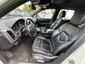 Porsche Cayenne 3.0L S Hybrid Japan Import / Top gepflegt Weiß - thumbnail 5