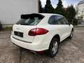 Porsche Cayenne 3.0L S Hybrid Japan Import / Top gepflegt Weiß - thumbnail 2