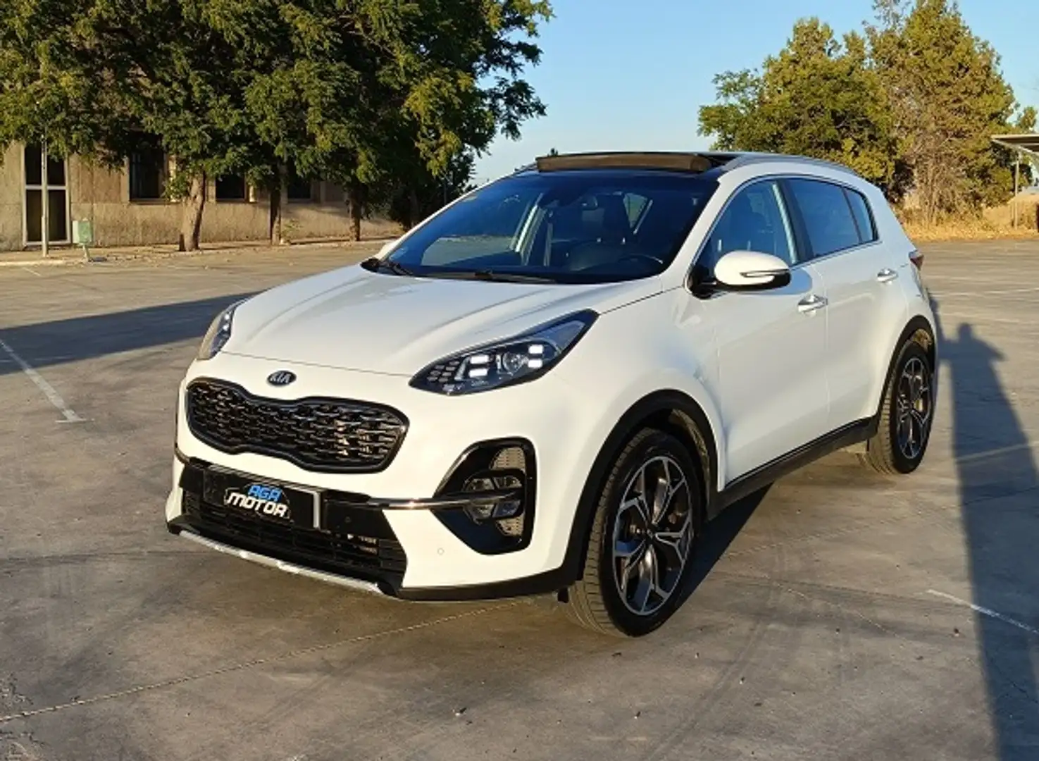 Kia Sportage 1.6 MHEV GT Line Essential 4x4 136 Blanco - 2