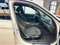 BMW 318 d|M-PAKET|SHZG|TEMP|NAVPROF|PDC|TEMP Weiß - thumbnail 17