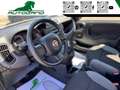 Fiat Panda 1.0 FireFly S&S Hybrid Sensori Parcheggio Grau - thumbnail 8