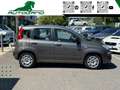 Fiat Panda 1.0 FireFly S&S Hybrid Sensori Parcheggio Grau - thumbnail 11