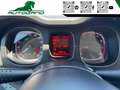 Fiat Panda 1.0 FireFly S&S Hybrid Sensori Parcheggio Grau - thumbnail 28