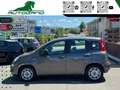 Fiat Panda 1.0 FireFly S&S Hybrid Sensori Parcheggio Grau - thumbnail 10