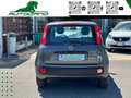 Fiat Panda 1.0 FireFly S&S Hybrid Sensori Parcheggio Grau - thumbnail 5