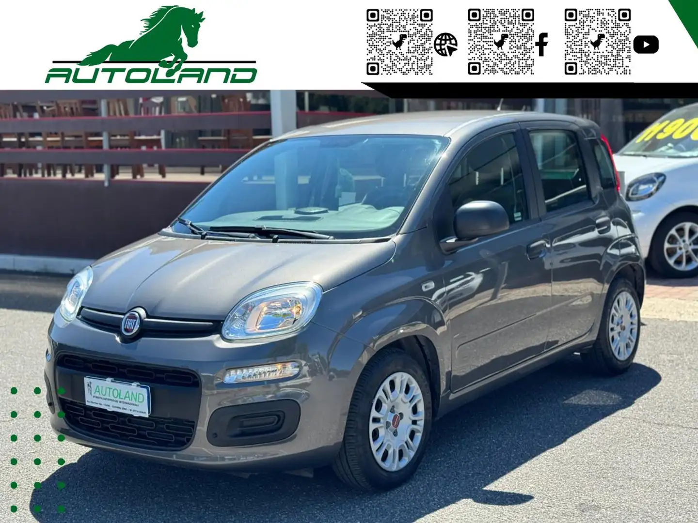 Fiat Panda 1.0 FireFly S&S Hybrid Sensori Parcheggio Grau - 1