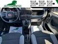 Fiat Panda 1.0 FireFly S&S Hybrid Sensori Parcheggio Grau - thumbnail 9