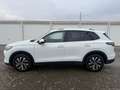 Volkswagen Tiguan 1.5 eTSI 110 kW Life Design & Komfort Paket Bianco - thumbnail 3