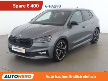 1.0 TSI Monte Carlo
