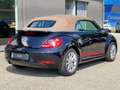 Volkswagen Maggiolino Maggiolino Cabrio 1.2 TSI Design BlueMotion Techno Nero - thumbnail 6