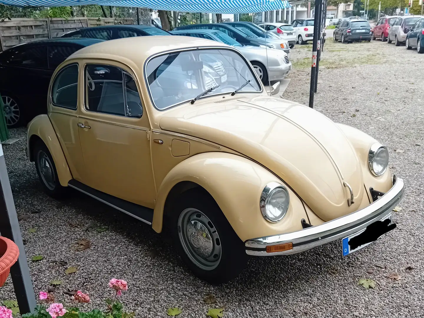 Volkswagen Käfer VW KÄFER MIT NEUER H-ZULASSUNG UND NEUEN TÜV Beige - 2