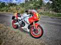 Yamaha XSR 900 GP ACCESSORIATA OCCASIONE Rosso - thumbnail 3