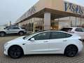 Tesla Model 3 RWD Navi Leder RFK Panormadach Weiß - thumbnail 3