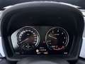 BMW X1 sDrive 18d Aut. Business Advantage Grigio - thumbnail 12