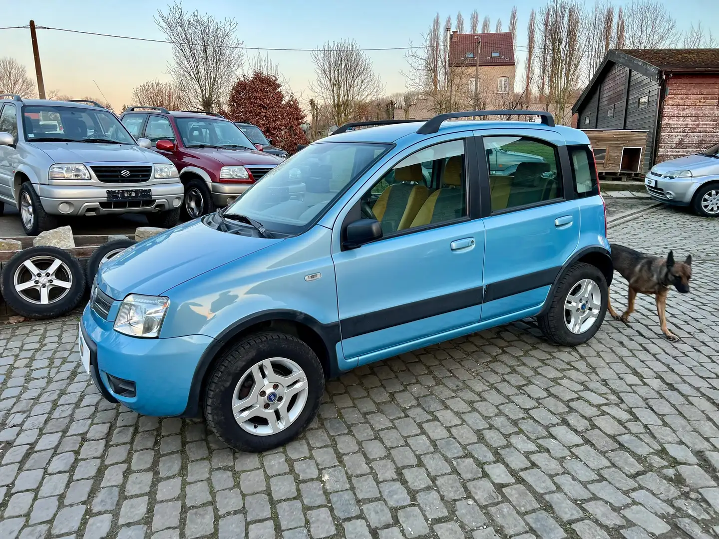 Fiat Panda 4X4 1.2i Dynamic en superbe etat Bleu - 1