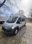 Citroen Jumper Pössl 2WIN Plus Profi HDi 150 Aufstelldach Camper Gris - thumbnail 4