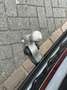 Volkswagen Tiguan 1.5 eTSI R-Line Edition | 360° camera | Leer  | Ma Noir - thumbnail 14