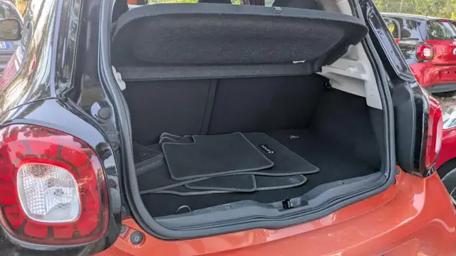 Smart Forfour view 12