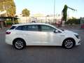 Renault Megane Renault Megane Sporter Blue dCi 115 CV Business Bianco - thumbnail 4