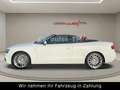 Audi A5 Cabriolet 1.8 TFSI S Line Automatik-Bi-Xenon Weiß - thumbnail 6