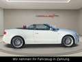 Audi A5 Cabriolet 1.8 TFSI S Line Automatik-Bi-Xenon White - thumbnail 4