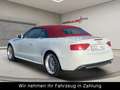 Audi A5 Cabriolet 1.8 TFSI S Line Automatik-Bi-Xenon White - thumbnail 5